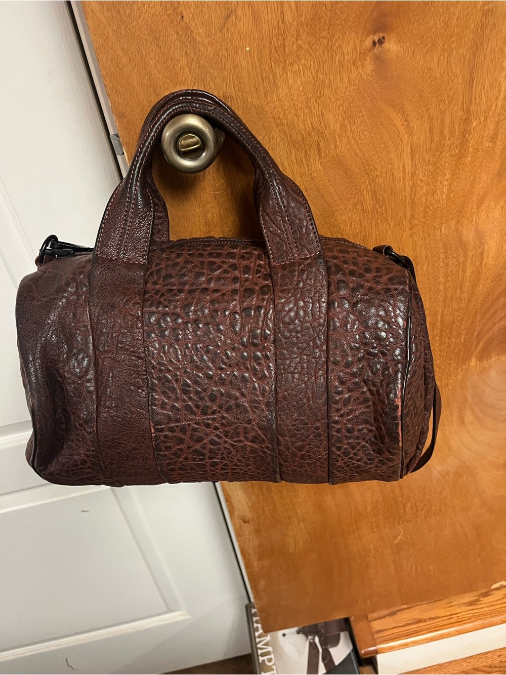 Authentic Alexander Wang Raisin Black Hardware - Picture 4 of 12